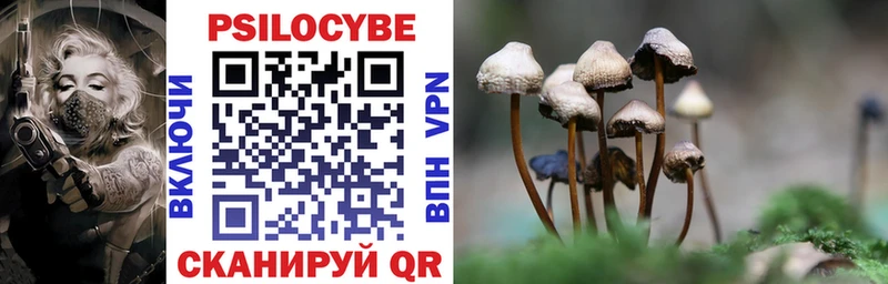 Псилоцибиновые грибы Psilocybine cubensis  hydra онион  Гвардейск 